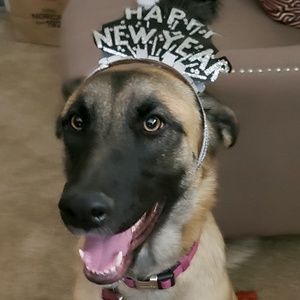 Meet your Posher, Rudy